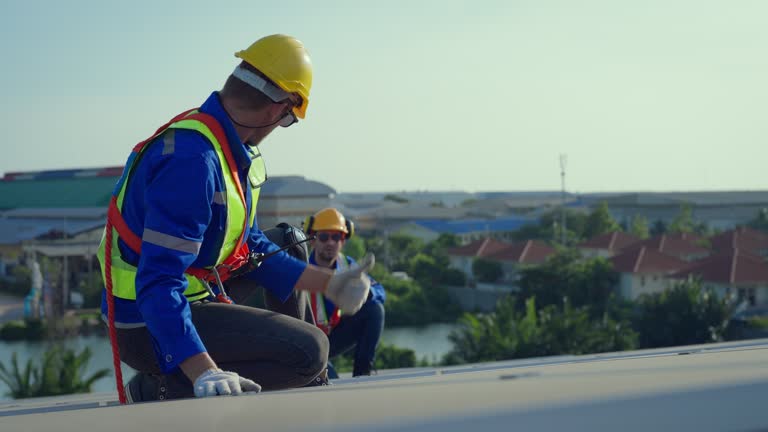 Best Skylight Installation and Repair  in Apollo, PA