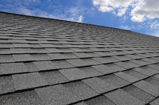 Best Sheet Metal Roofing  in Apollo, PA